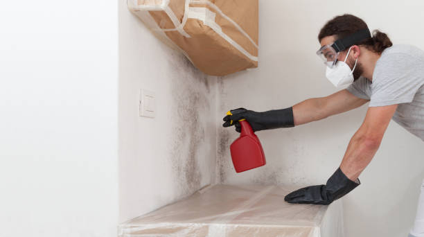 Professional Attic Mold Removal technician working in Derwood, MD