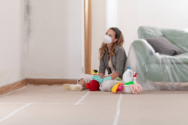 Reliable Attic Mold Removal contractor in Derwood, MD by WQB Mold Removal